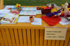 Dan krajevne skupnosti Dravlje