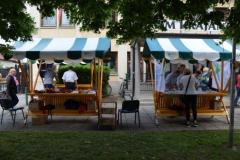 Dan krajevne skupnosti Dravlje