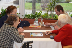 Medgeneracijsko društvo Modra