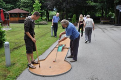 Mini golf