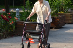 Domske športne igre in piknik - 13. 07. 2012