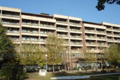Pogled z vrta