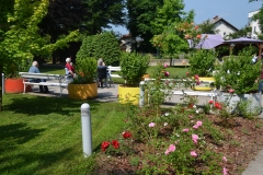 Domski park