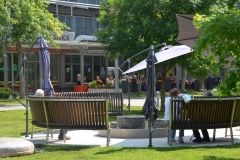 Domski park