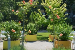 Domski park