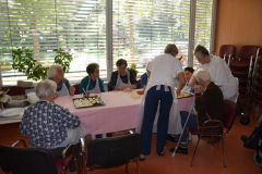 Gospodinjske aktivnosti