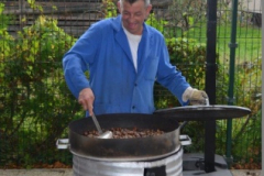 Kostanjev piknik