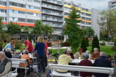 Kostanjev piknik