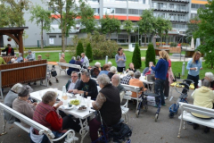 Kostanjev piknik