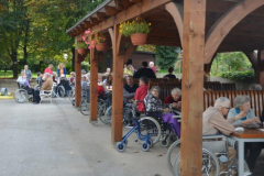 Kostanjev piknik