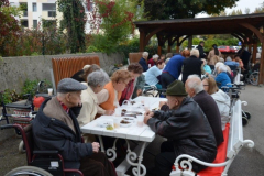 Kostanjev piknik 2016