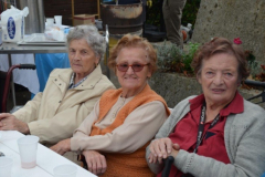 Kostanjev piknik 2016