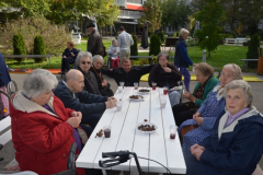 Kostanjev piknik - 22. 10. 2013