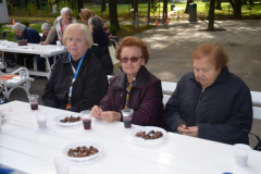 Kostanjev piknik