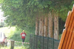 Letne športne igre