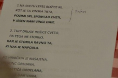 Martinovanje 2016