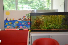 Ustvarjalna delavnica