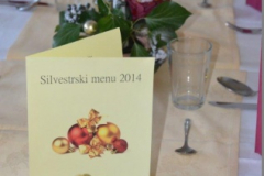 Novoletna zabava 2014-15 - 06. 01. 2015