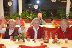 Novoletna zabava 2014-15