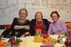 Novoletna zabava 2014-15