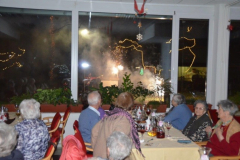Novoletna zabava 2015-2016 - 05. 01. 2016