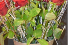 Zabava