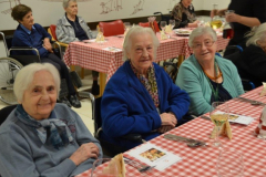 Novoletna zabava 2017