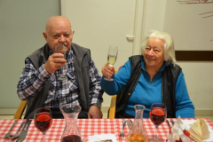 Novoletna zabava 2017