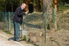 Živalski vrt
