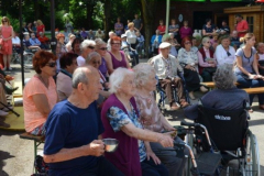 Demenci prijazna točka