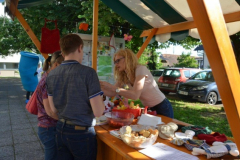 Dan četrtne skupnosti Dravlje