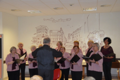 Pesem in ples v DSO Šiška - 16. 12. 2013 