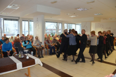 Pesem in ples v DSO Šiška