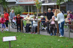 Senior vadbeni park - Simbioza