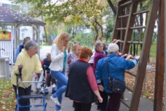Senior vadbeni park - Simbioza