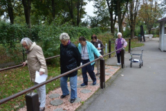 Senior vadbeni park