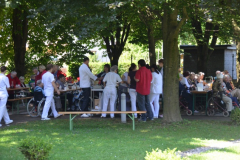 Sladoledni piknik