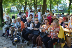 Sladoledni piknik