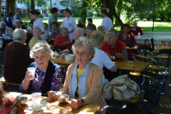 Sladoledni piknik