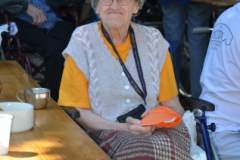 Sladoledni piknik