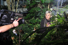 Snemanje filma