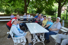 Športne igre in piknik 2015