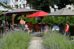 Igre in piknik