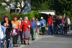 Sprehod za spomin 2015