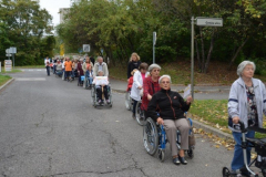 Sprehod za spomin 2016