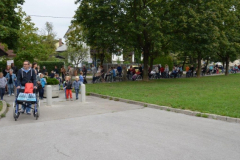 Sprehod za spomin 2016