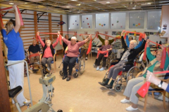 Vadba z elastičnimi trakovi