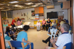 delavnica: Starost in padci