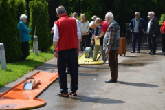 Mini golf