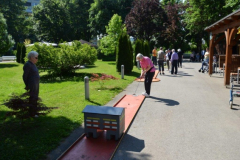 Mini golf